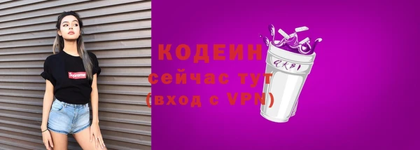 дурь Лабытнанги