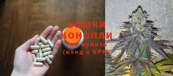 тгк Лиски