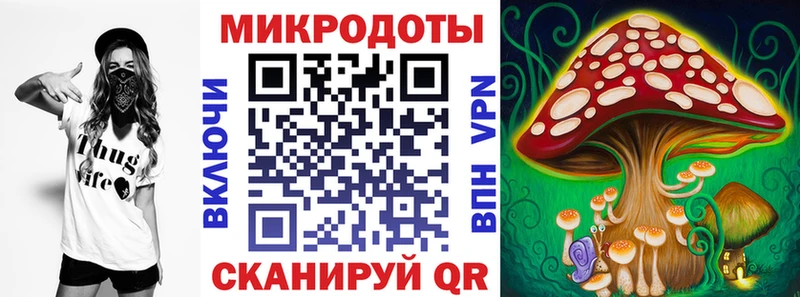 Купить  Боровск  Галлюциногенные грибы Psilocybine cubensis 